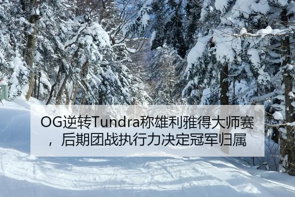 OG逆转Tundra称雄利雅得大师赛，后期团战执行力决定冠军归属